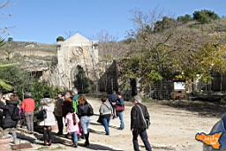 Santa Ninfa 19 11 2016 211.jpg